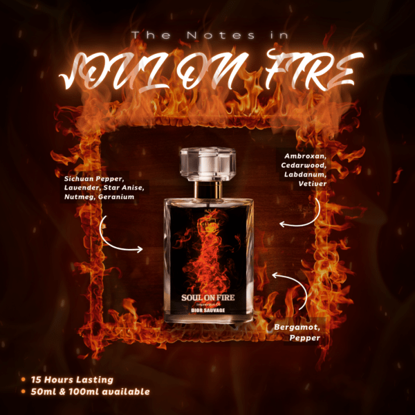 Soul On Fire