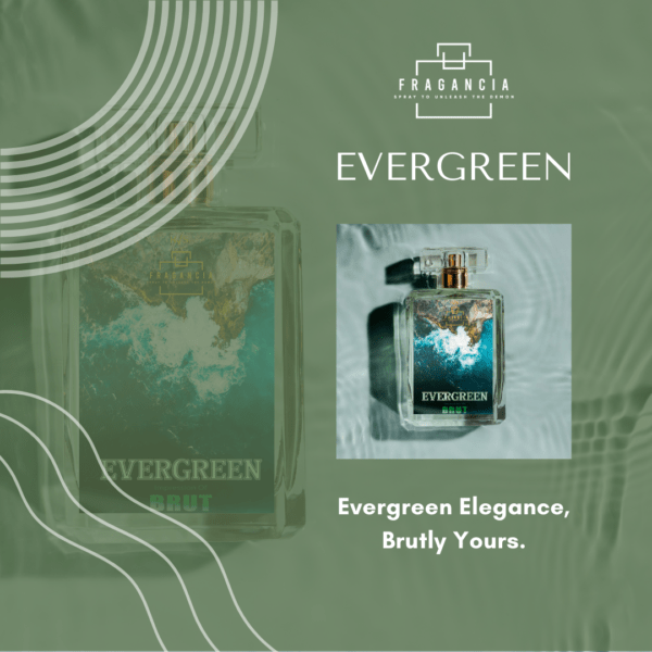 Evergreen